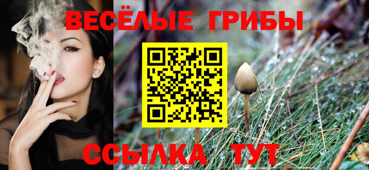 Галлюциногенные грибы мицелий Волгоград