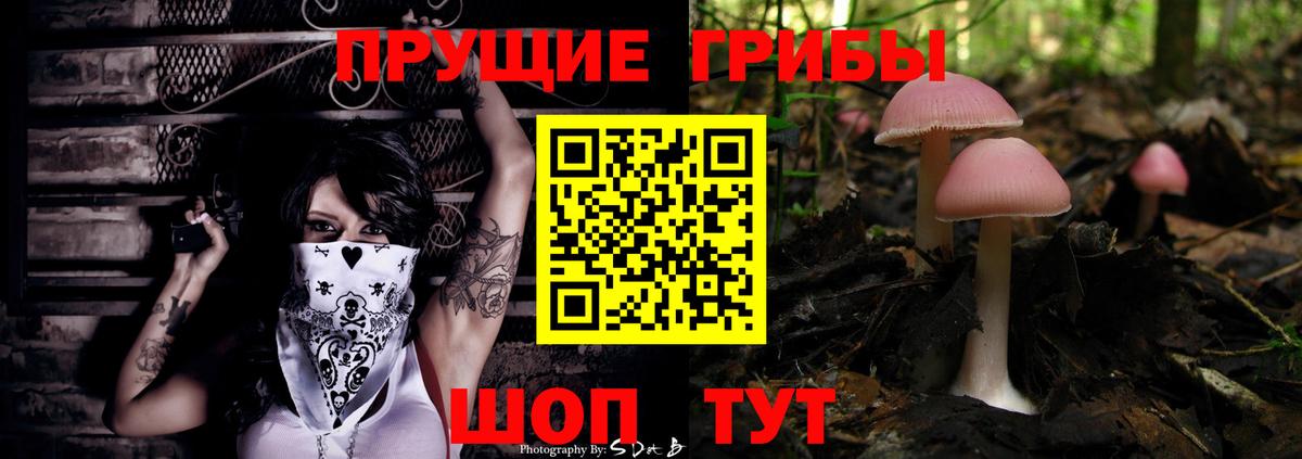 Псилоцибиновые грибы мицелий  Вход с VPN  где найти   Волгоград  Галлюциногенные грибы Magic Shrooms 